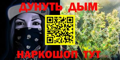 спайс Новодвинск