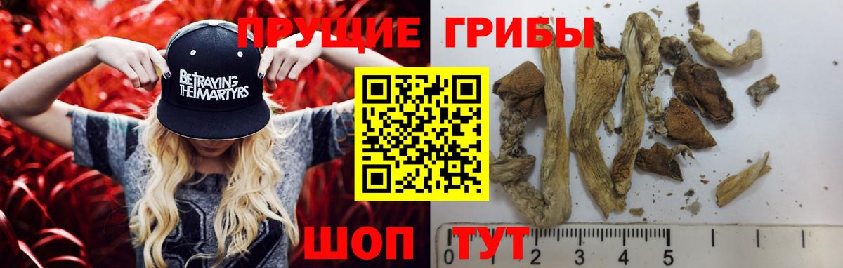 Псилоцибиновые грибы прущие грибы Пушкино