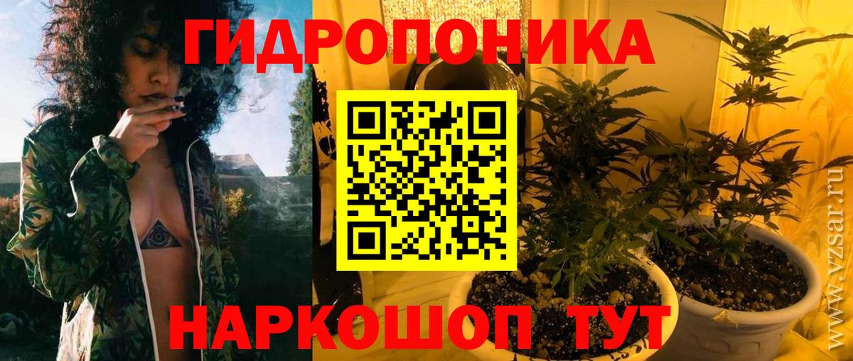 Шишки марихуана конопля Пушкино